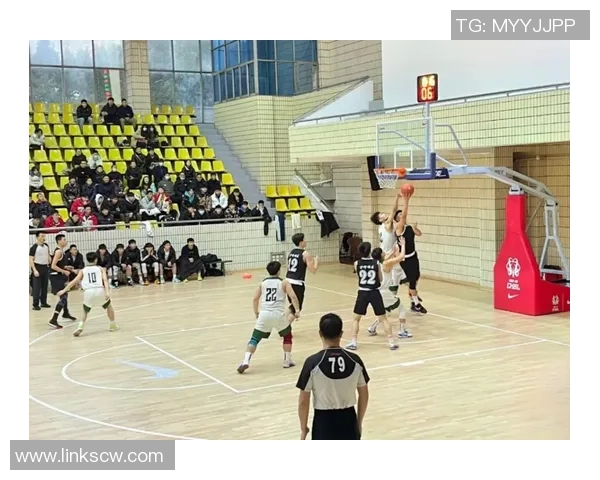 重庆篮球队在城市联赛中的技术表现分析与点评